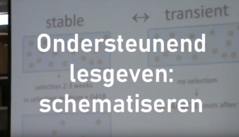 Ondersteunend lesgeven: schematiseren